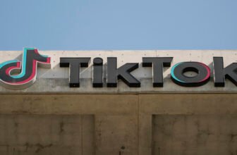 TikTok’s CEO urges customers to ‘defend your constitutional rights’ as US ban looms
